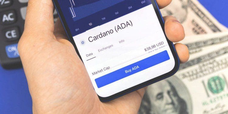 Cardano-750×375-1