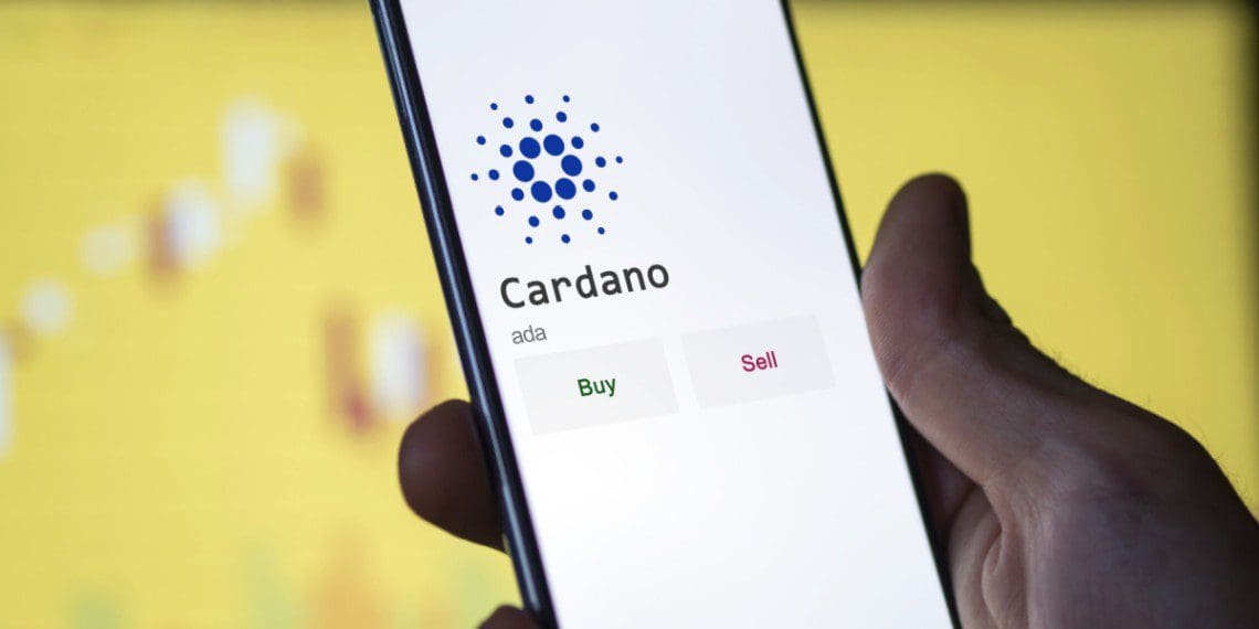 Máximo ejecutivo de Cardano: deje de buscar la 