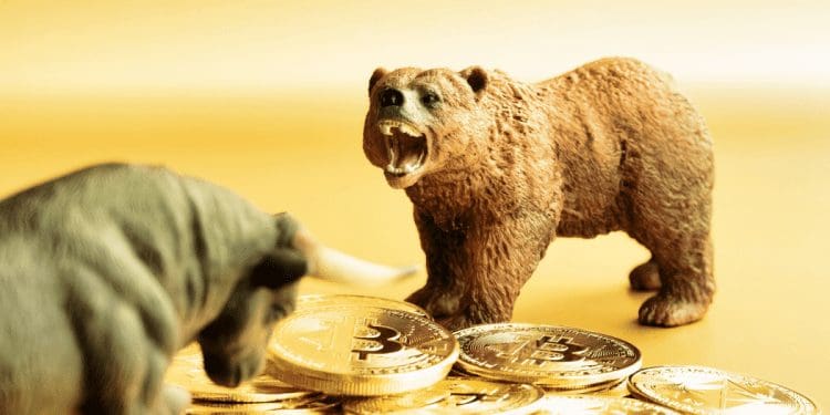 bitcoin-bull-bear-750×375-1