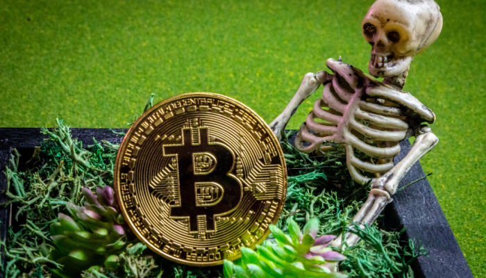 bitcoin-dood ¿BTC no murió? Menor cantidad de declaraciones de muerte en 10 años