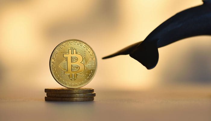 Ballena de bitcoin se despierta