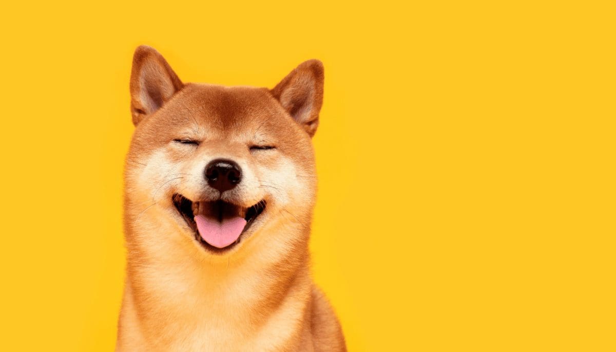 Crypto-inversores compran la legendaria Dogecoin y el meme Shiba Inu