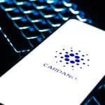 Cardano reta la caída del mercado: explosión de desarrollo y actividad