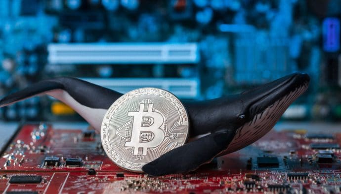 Las ballenas de Bitcoin pierden control del mercado, según nuevos datos