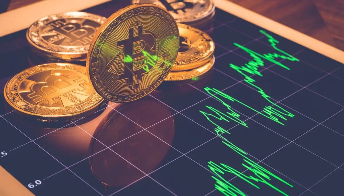 Bitcoin-voorspelling-stijging 1 parte controla el 90% de todos los Bitcoins de los ETFs