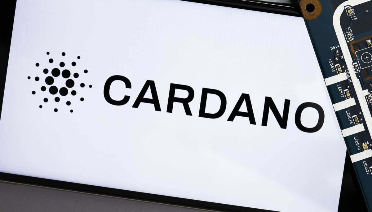 Cardano stablecoin stijgt plotseling 400%, cryptogemeenschap kritisch