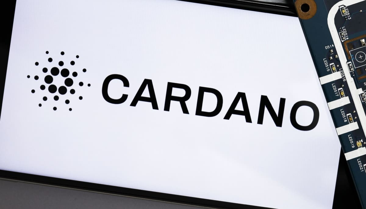 Cardano en peligro, pendiente de una actualización crucial