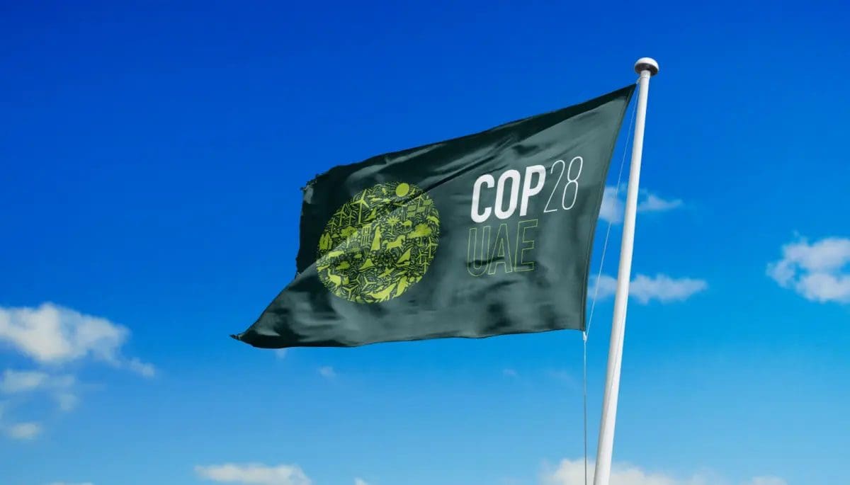 Crypto-in-klimaatstrijd-klimaattop-onthuld-veelbelovende-projecten Cryptos en la batalla del clima, la cumbre del clima desvela proyectos