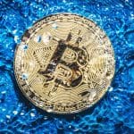 Red de Bitcoin sedienta: 1 piscina por transacción