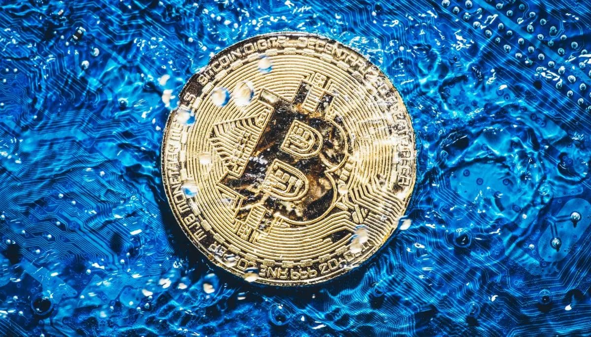 Shutterstock_1046879080 Red de Bitcoin sedienta: 1 piscina por transacción