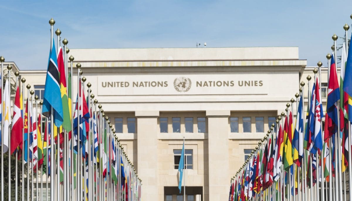 VN-1 Crypto Hedera (HBAR) y la ONU colaboran en una plataforma para carbono