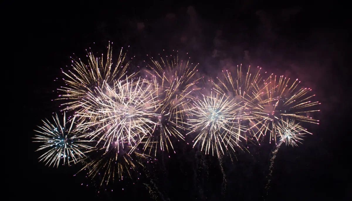 Vuurwerk La previsión del precio de Bitcoin para el viejo y el nuevo 2023-2024