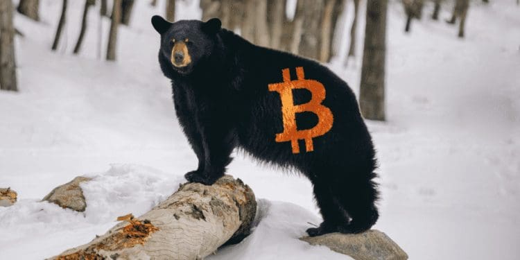bitcoin-beer-750×375-1