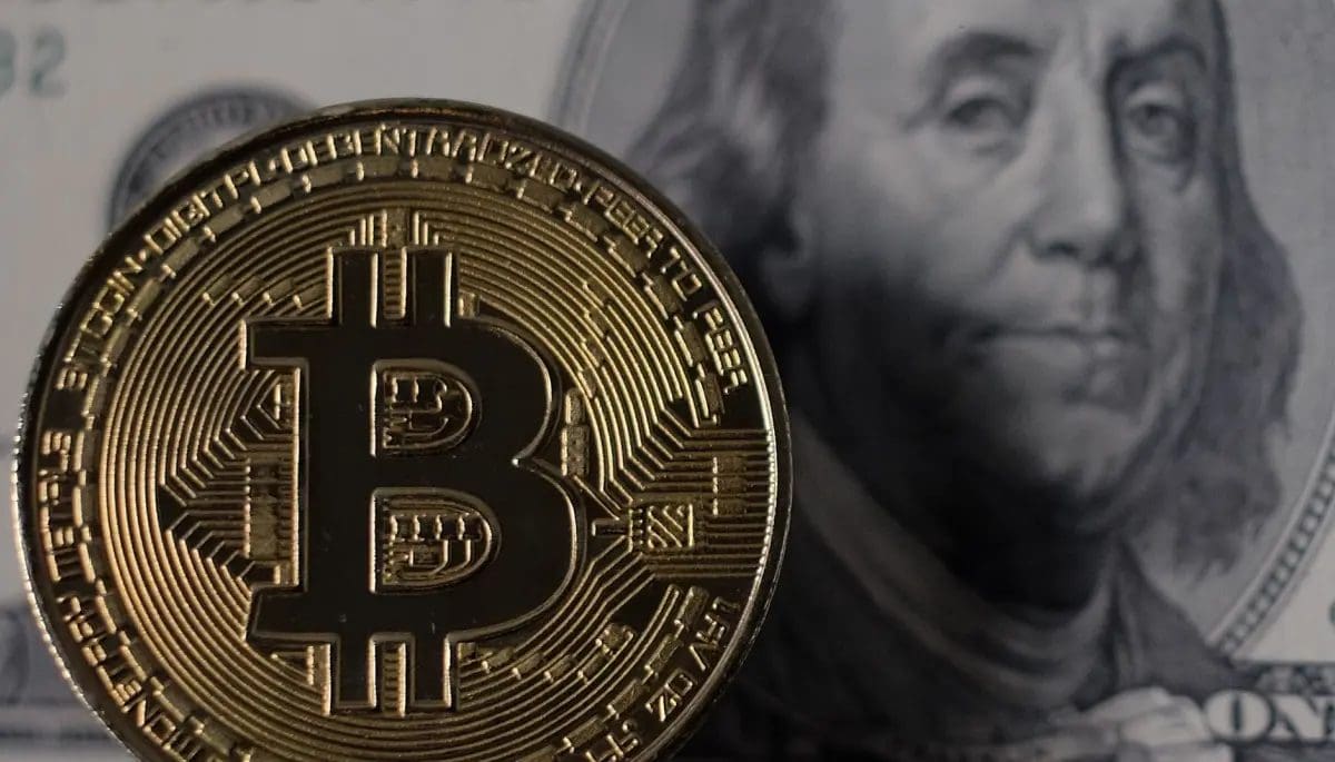 Comprar Bitcoin cada mes produce riqueza al pequeño inversor