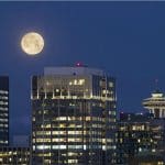 Previsión para Bitcoin de un analista: No es lo que esperas