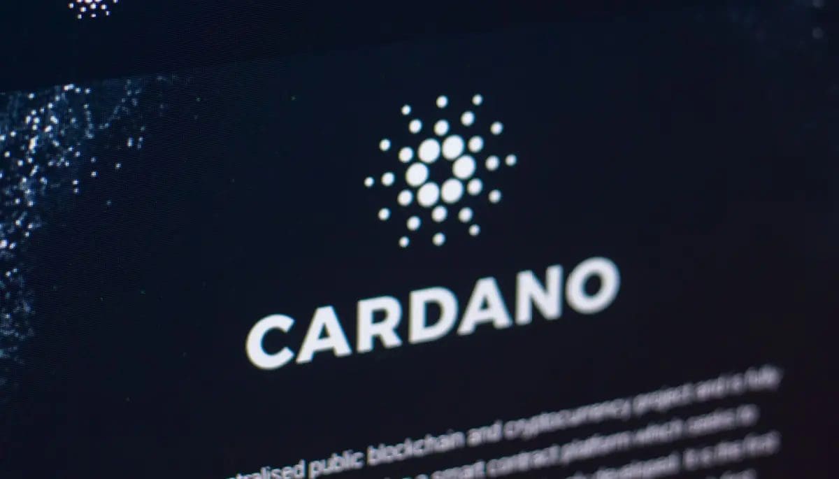 cardano-stijging-weekoverzicht Rara subida de Cardano, inicio del