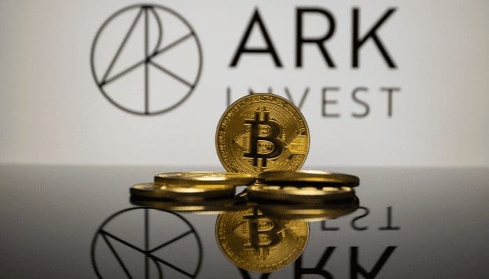 cathie-wood-bitcoin-bearmarkt
