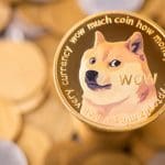 Tenedores de Dogecoin celebran hoy el Día DOGE - esto se puede esperar
