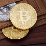 El estúpido monedero bitcoin despierta con 32,3 millones de euros de beneficios