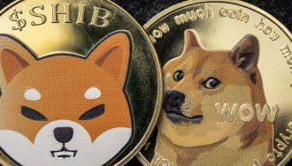 Shiba inu y Dogecoin: fuertes durante la reciente caída, según datos