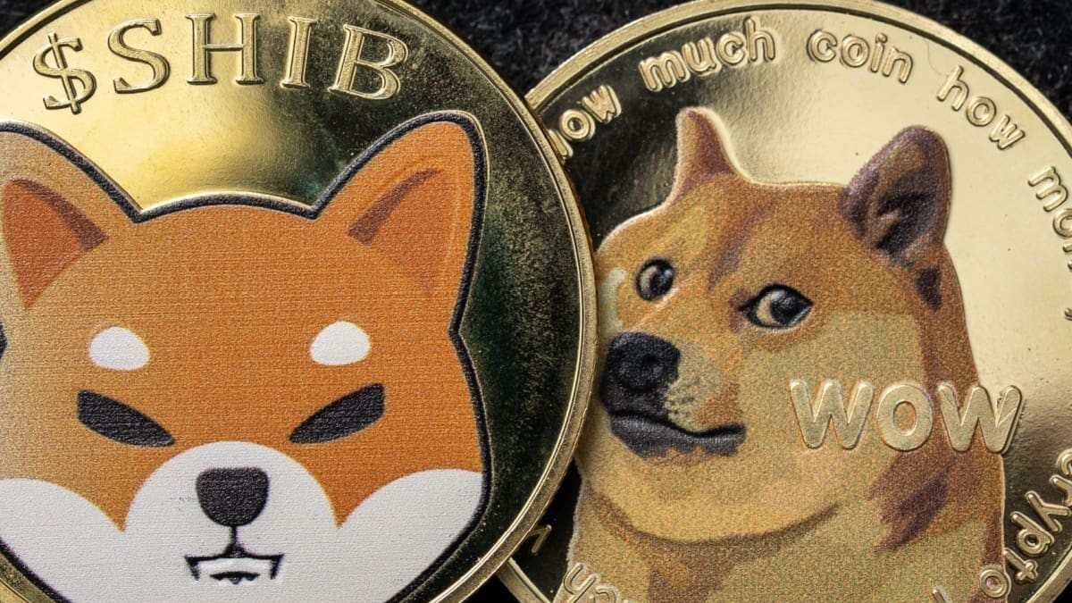 Dogecoin cae con fuerza mientras los grandes inversores compran