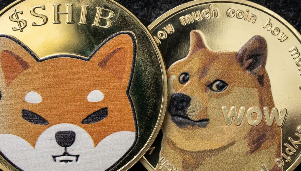 Shiba inu y Dogecoin: fuertes durante la reciente caída, según datos