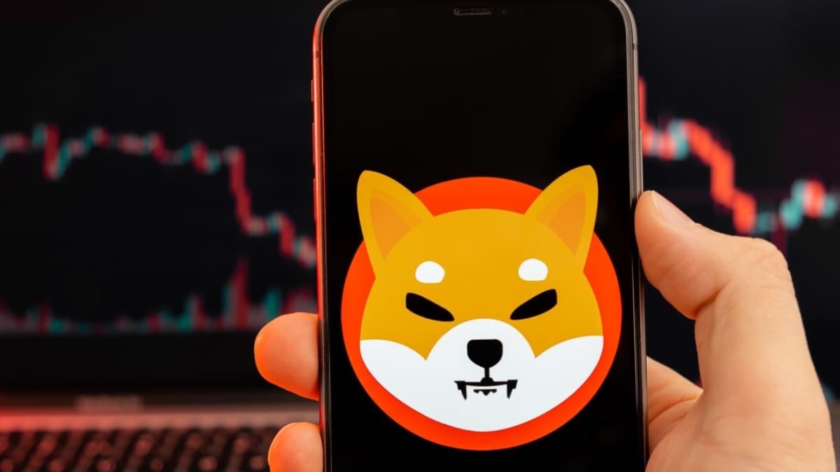 Shiba Inu cae un 17% en 2 semanas y temen más pérdidas