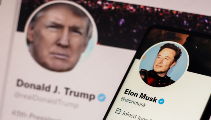 Trump vs Musk explota: el memecoin TRUMP cae fuertemente