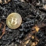 Experto en BTC: 