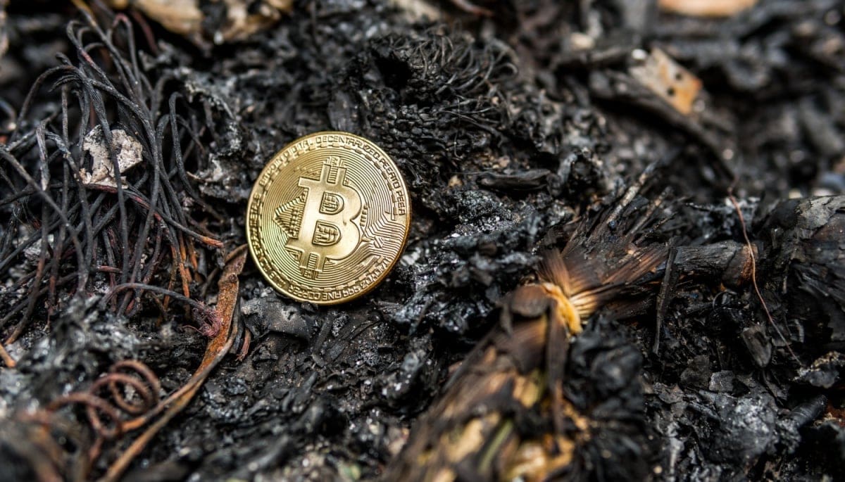 Experto en BTC: 