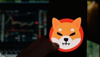 ¿Peligro para Shiba Inu? Una persona tiene el 10% de los tokens