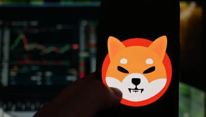 Shiba Inu va cuesta abajo sin frenos: ¿podrá recuperarse?