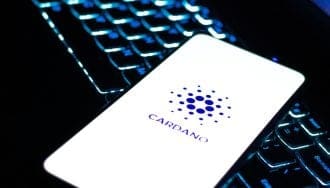 Las ballenas de Cardano no paran: ya controlan el 67% del suministro