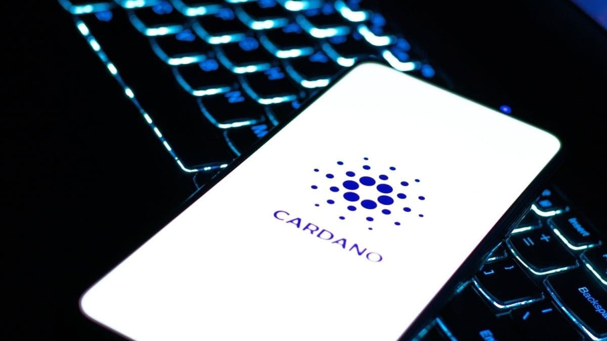 Las ballenas de Cardano no paran: ya controlan el 67% del suministro
