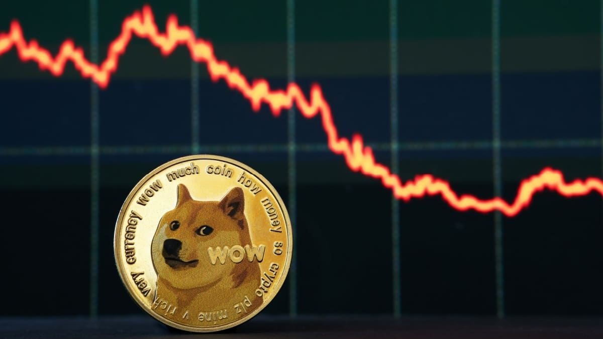 Dogecoin cae más de un 10% tras una enorme subida: estas son las razones