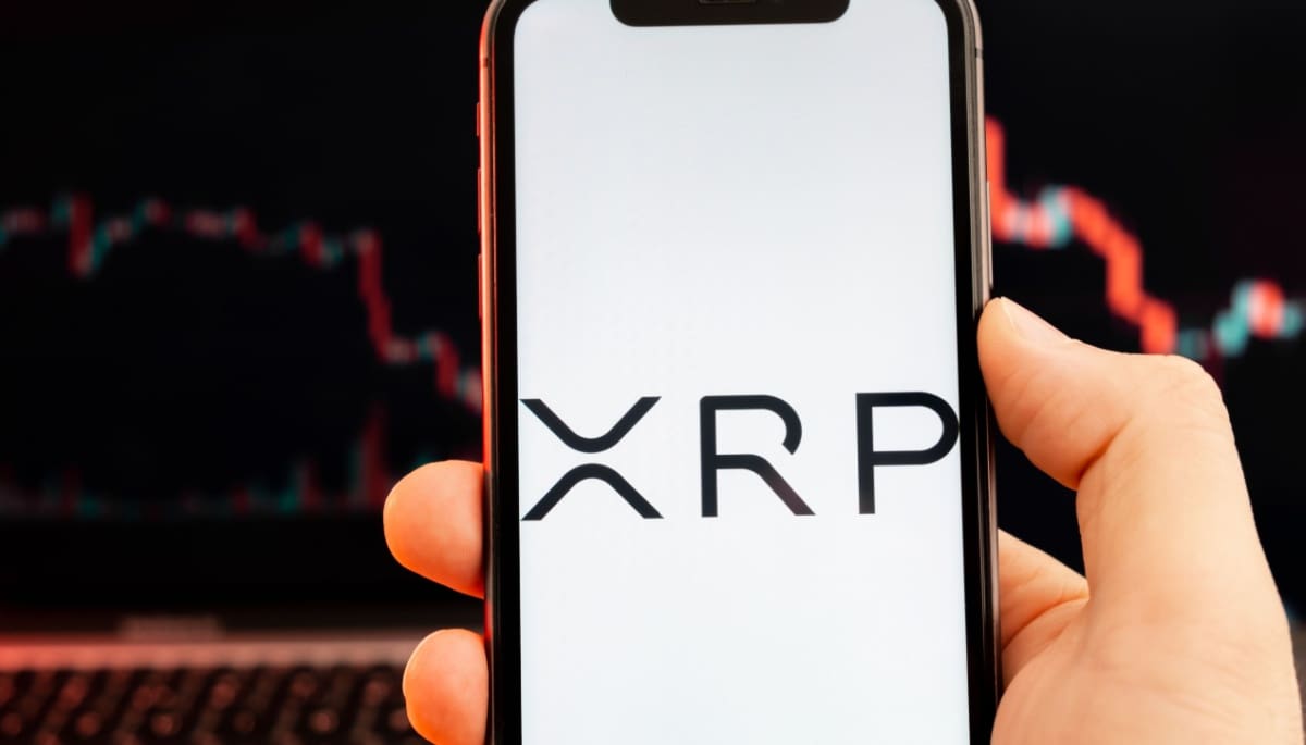 El número de cuentas activas de XRP cae un 90%: ¿y ahora qué?
