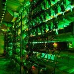 La familia Trump se expande en Bitcoin y construye un gigante minero