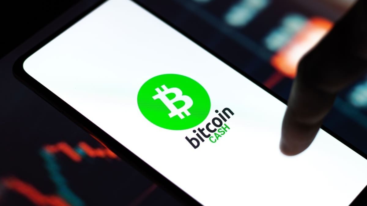 Bitcoin Cash vive un buen año mientras Bitcoin decepciona