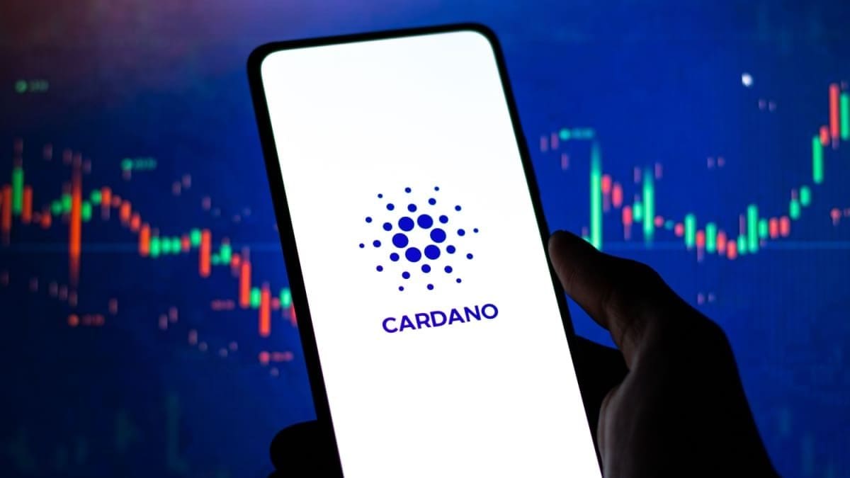 230 millones de Cardano se mueven entre grandes inversores