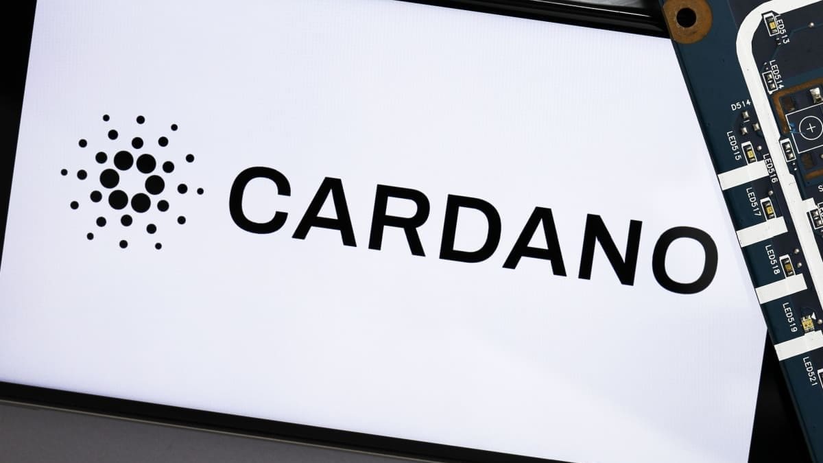 Mientras tú vendes tu Cardano, los grandes inversores están comprando