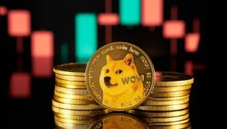 Grandes inversores compran 310 millones de DOGE, 'subirá el precio'