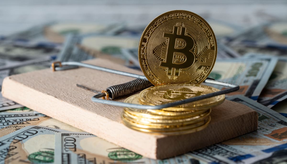 Una ciudad entera estafada: 16.000 personas pierden millones en crypto