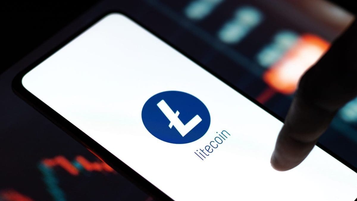 Grandes inversores compran Litecoin pese a la ca&iacute;da