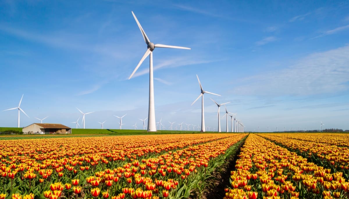 Bitcoin será 70% verde en 2030: gran descenso en su impacto ambiental