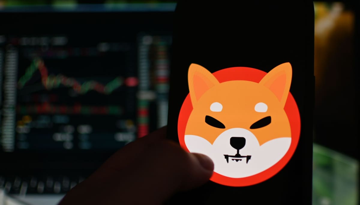 El flujo de Shiba Inu disminuye en más de un 80%: ¿Qué está pasando?