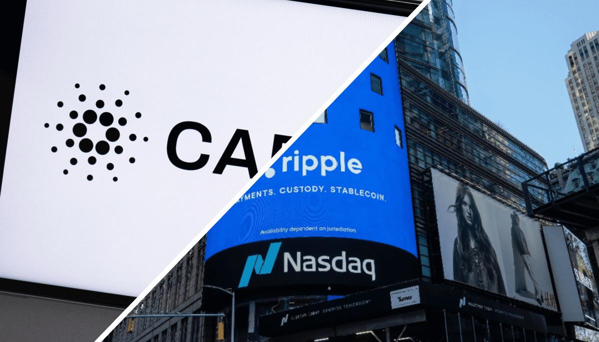 Duras críticas a XRP y Cardano: 'no aportan nada a las cripto'