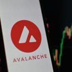 Expertos esperan buenas noticias en Avalanche tras meses de silencio