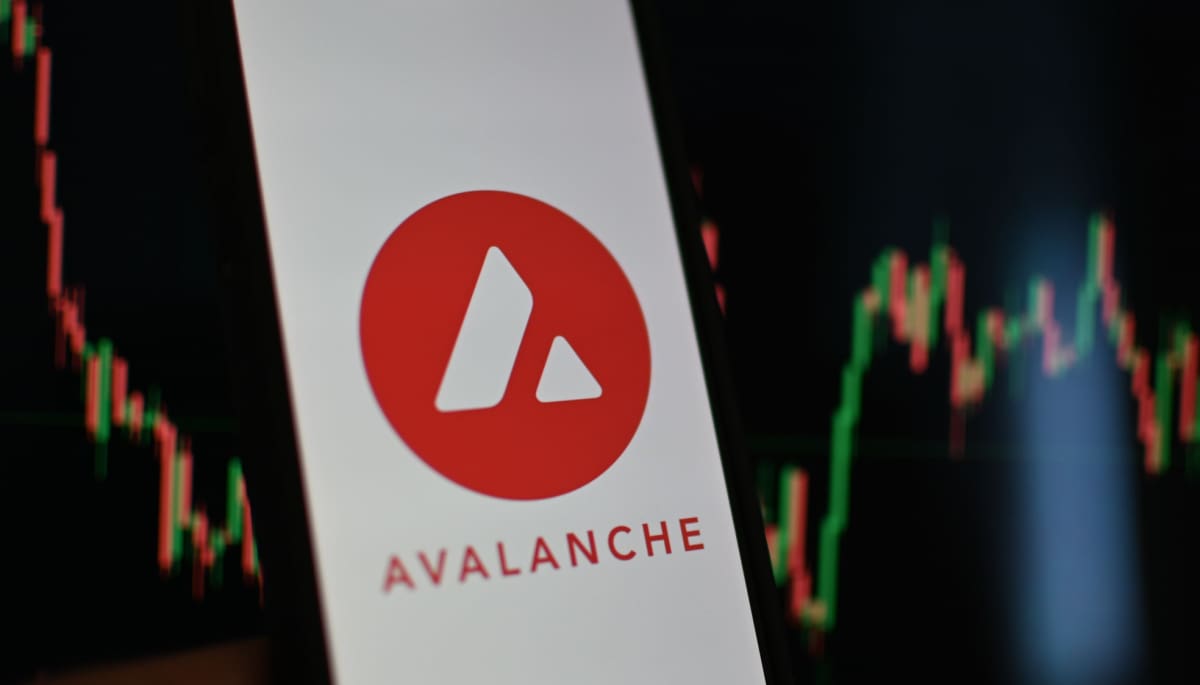 Expertos esperan buenas noticias en Avalanche tras meses de silencio