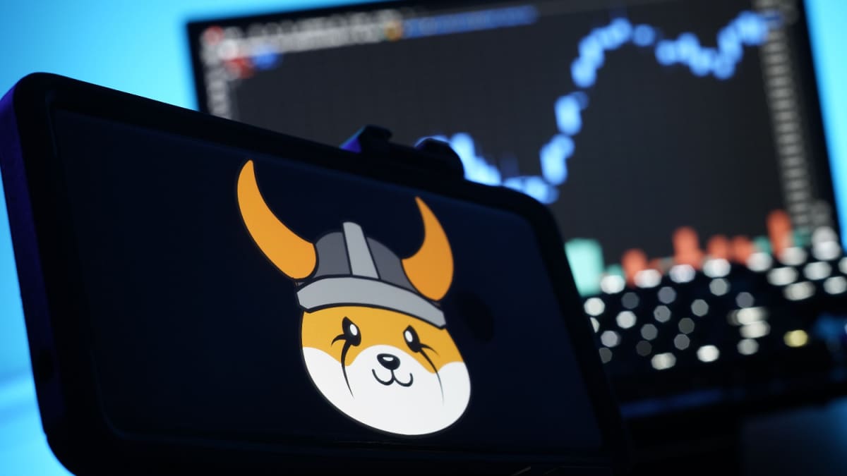 La criptomoneda Floki sube un 32 % en un solo día: esta es la razón