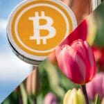 Analista compara a BTC con la fiebre de los tulipanes: “Es distinto”